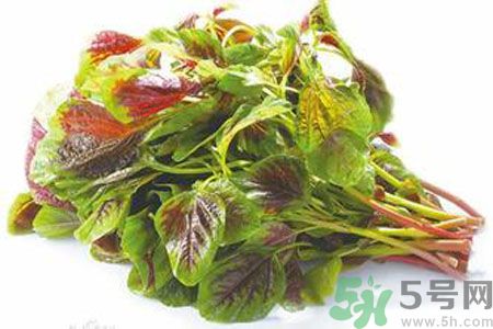 孕婦可以吃漢菜嗎？懷孕可以吃漢菜嗎？