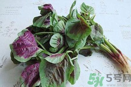 寶寶可以吃漢菜嗎？寶寶吃漢菜好嗎？