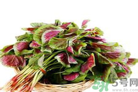 胃不好可以吃莧菜嗎？胃不好吃莧菜好嗎？