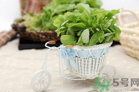 月經(jīng)期間可以吃漢菜嗎？來月經(jīng)可以吃漢菜嗎？