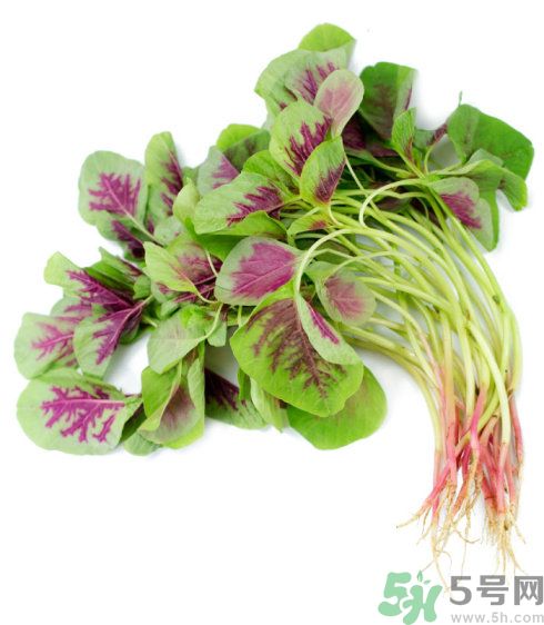 吃莧菜會皮膚過敏嗎？吃莧菜皮膚過敏怎么辦？