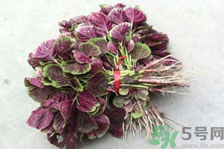 衣服上染上了莧菜汁怎么辦？衣服上的莧菜汁怎么洗掉？