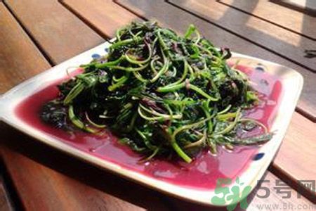 莧菜汁可以放多久？莧菜汁放多久會壞？