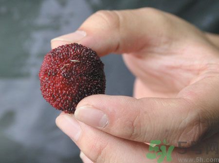 楊梅里面的蟲(chóng)子能吃嗎？楊梅里面的蟲(chóng)子吃了會(huì)怎么樣？
