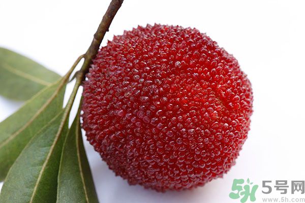 楊梅里面的蟲(chóng)子能吃嗎？楊梅里面的蟲(chóng)子吃了會(huì)怎么樣？