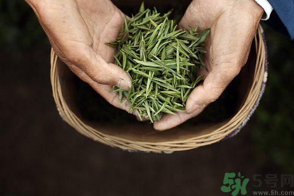 吃魚(yú)的時(shí)候能喝茶嗎？吃魚(yú)可以喝茶嗎？