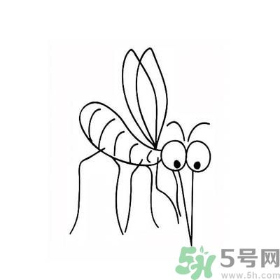 夏天家中有蒼蠅怎么辦？夏天如何滅蒼蠅？