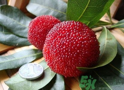楊梅紅色好還是黑色好？楊梅顏色越深越好嗎？