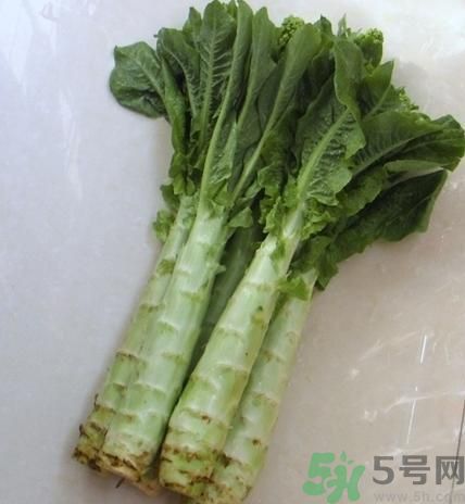 筍子是不是發(fā)物？筍子是發(fā)物嗎？