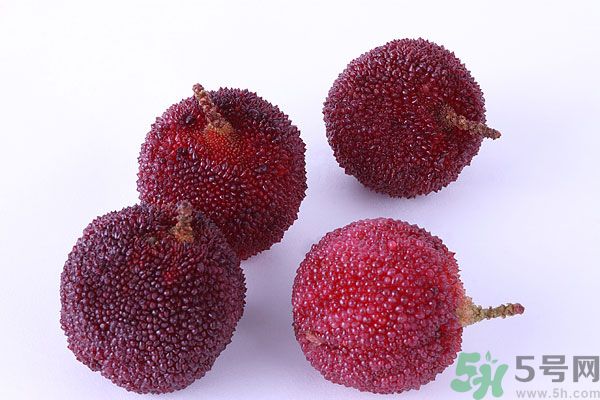 楊梅里面有小蟲怎么洗？楊梅里的蟲子怎么弄出來(lái)？