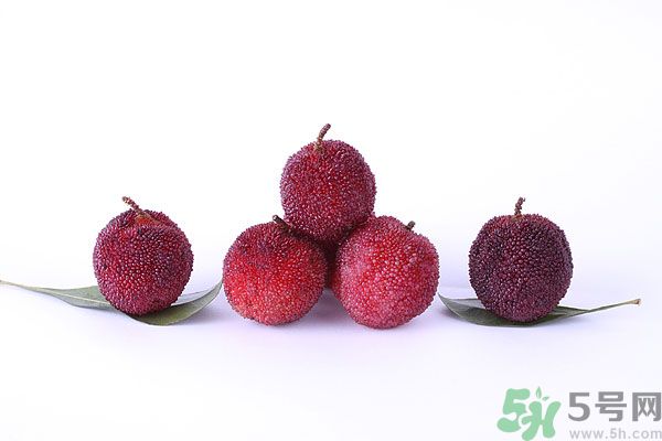 楊梅里面有小蟲怎么洗？楊梅里的蟲子怎么弄出來(lái)？