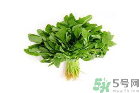莧菜可以生吃嗎？莧菜生吃了會怎樣？