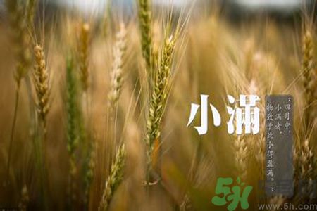 小滿名字的由來？小滿是什么意思？