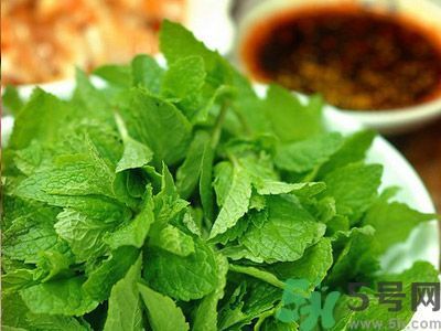 薄荷可以炒菜吃嗎？薄荷可以用來(lái)炒菜嗎？