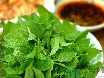 薄荷有什么功效？薄荷的攻效是什么？
