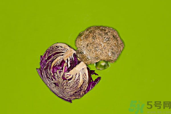 包菜外面爛了還能吃嗎？包菜里面有花可以吃嗎？