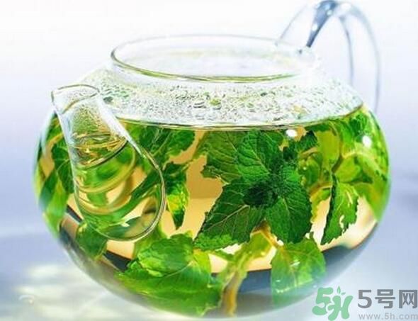 薄荷茶怎么泡好喝？薄荷茶的沖泡方法有哪些？