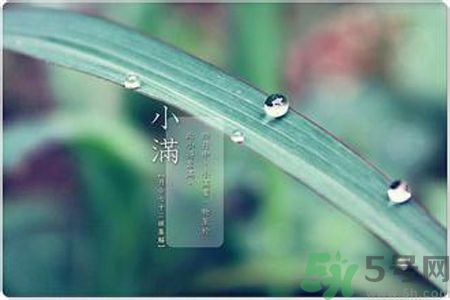 小滿容易得什么皮膚??？小滿得了皮膚病怎么辦？