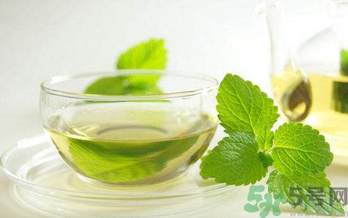  孕婦可以喝薄荷茶嗎？孕婦能喝薄荷泡的茶嗎？