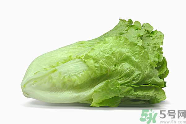 生菜在冰箱放久了能吃嗎？如何分辨生菜新不新鮮？