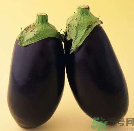 青皮茄子和紫皮茄子有什么區(qū)別？青皮茄子好還是紫皮茄子好？
