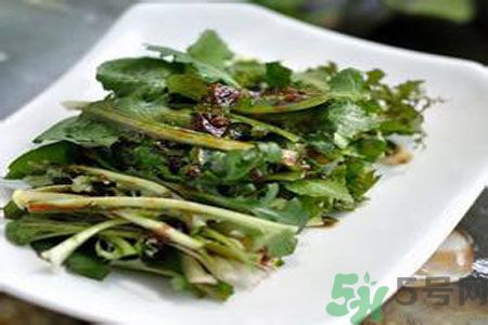 寶寶可以吃苦菜嗎？寶寶多大可以吃苦菜？