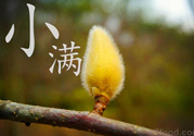 小滿名字的由來？小滿是什么意思？