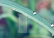 為什么小滿濕氣重？小滿怎么除濕氣？