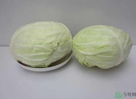 包菜榨汁要加水嗎？包菜汁怎么做？