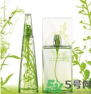 蚊子叮的包過幾天又癢是為什么？蚊子叮的包過幾天又癢怎么辦？