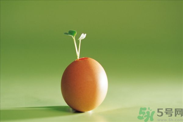 生菜和雞蛋能一起吃嗎？生菜和雞蛋一起怎么做？
