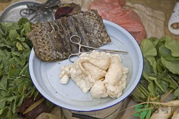 夏天吃蛇肉可以清火嗎？夏天吃蛇肉可以降火嗎？