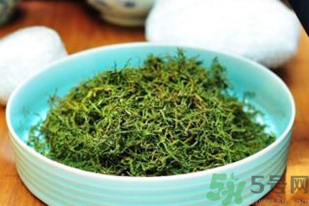怎么挑選苦菜茶？挑選苦菜茶的技巧