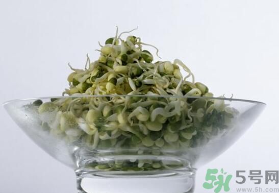 夏天吃綠豆芽可以清火嗎？夏天吃綠豆芽能降火嗎？