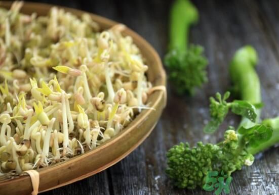 怎樣自己發(fā)綠豆芽？綠豆芽怎樣自己發(fā)？