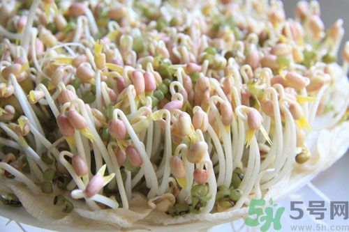 紅豆可以發(fā)豆芽嗎？紅豆芽可以吃嗎？
