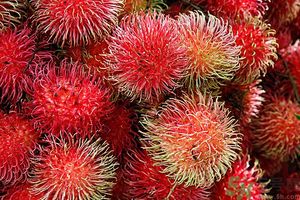 吃紅毛丹上火嗎？吃紅毛丹上火怎么辦？