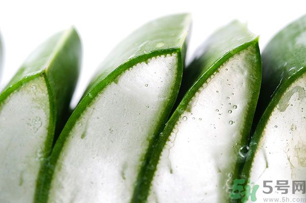 蘆薈有什么功效？蘆薈的功效是什么？