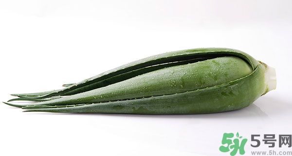 經(jīng)期可以吃蘆薈嗎？經(jīng)期吃蘆薈會(huì)肚子痛嗎？
