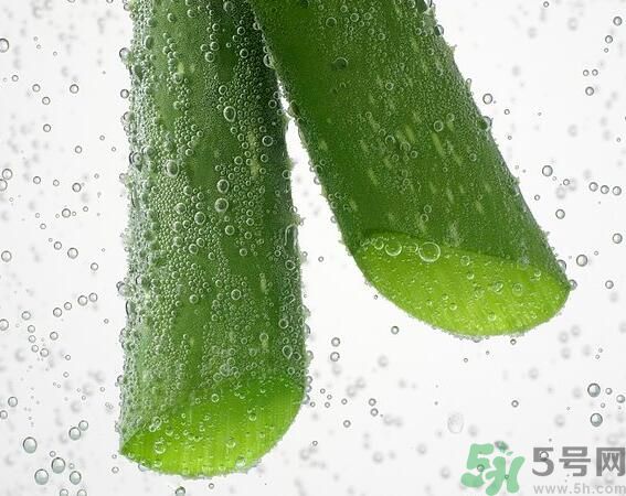 夏天吃蘆薈可以降火嗎？夏天吃蘆薈能清火嗎？