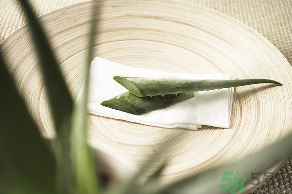 蘆薈是發(fā)物嗎？蘆薈是不是發(fā)物？