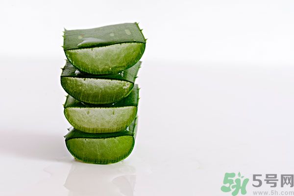 蘆薈是發(fā)物嗎？蘆薈是不是發(fā)物？