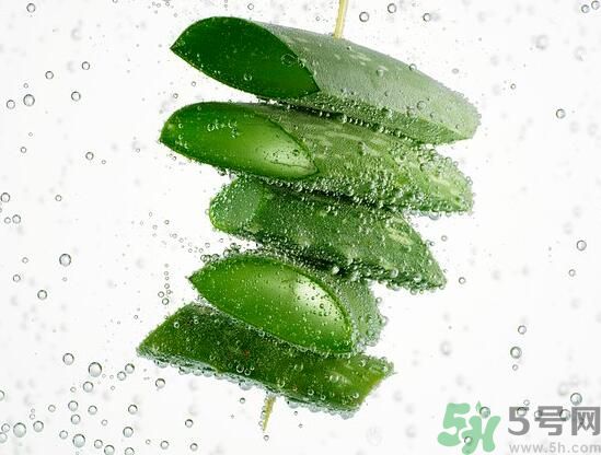男性可以吃蘆薈嗎？男性吃蘆薈好不好？