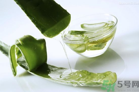 蘆薈的皮可以吃嗎？吃蘆薈要不要削皮？