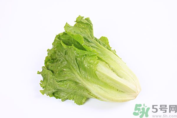 小孩可以吃生菜嗎？小孩吃生菜好嗎？