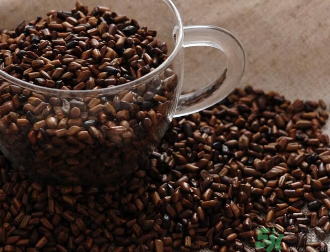 決明子泡茶喝可以減肥嗎？決明子泡茶喝有減肥效果嗎？