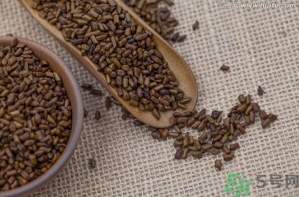 孕婦可以喝決明子茶通便嗎？孕婦通便可以喝決明子茶嗎？