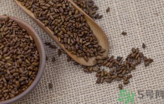 決明子泡茶加什么好？決明子和什么一起泡好？