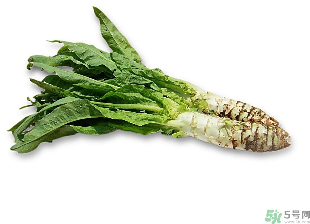 新鮮的萵筍怎么保存？削皮的萵筍怎么保存？