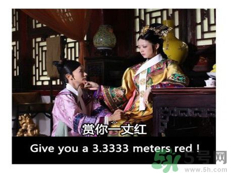 什么是蜀葵？蜀葵是一丈紅嗎？